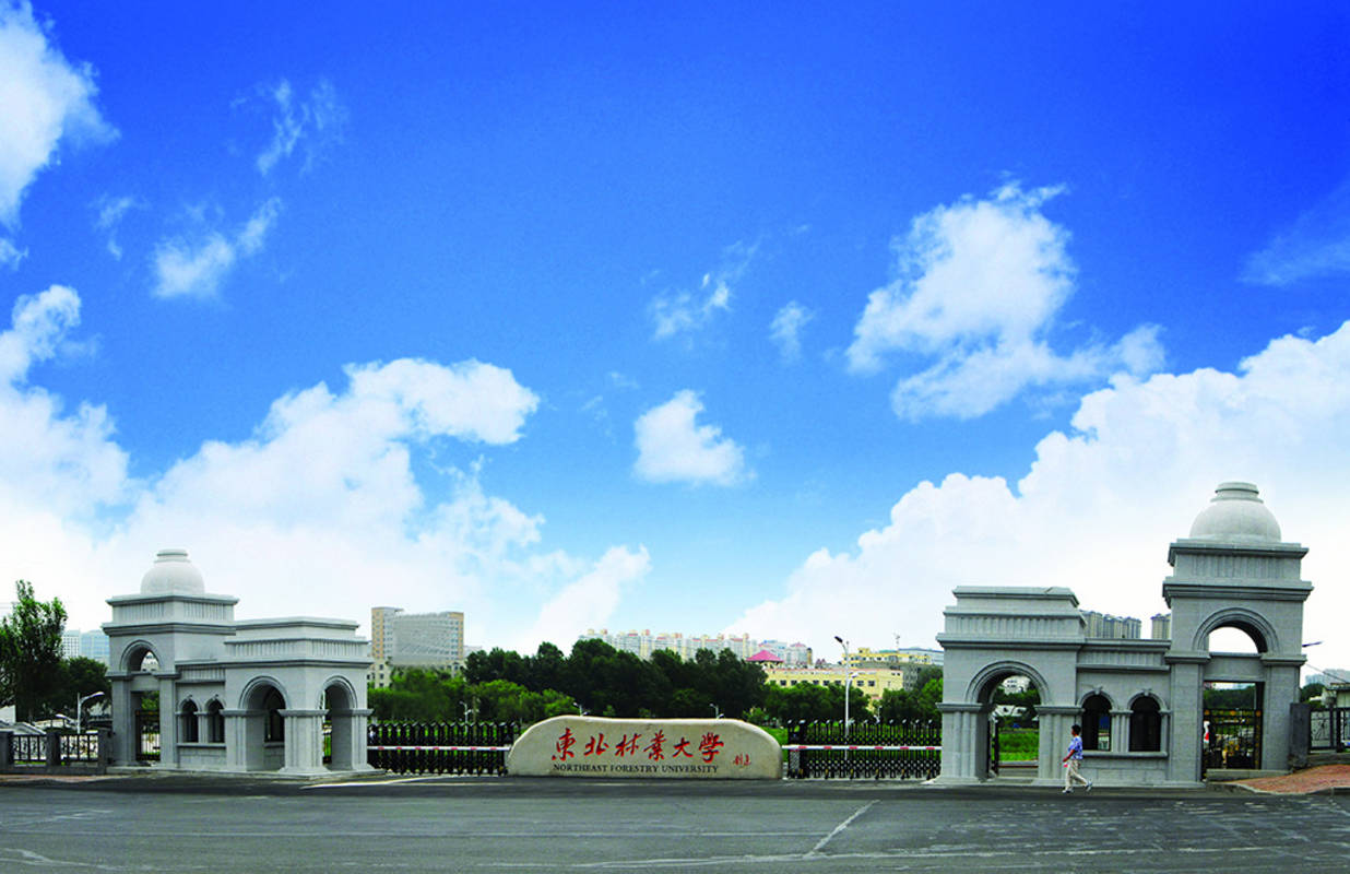 东北林业.jpg