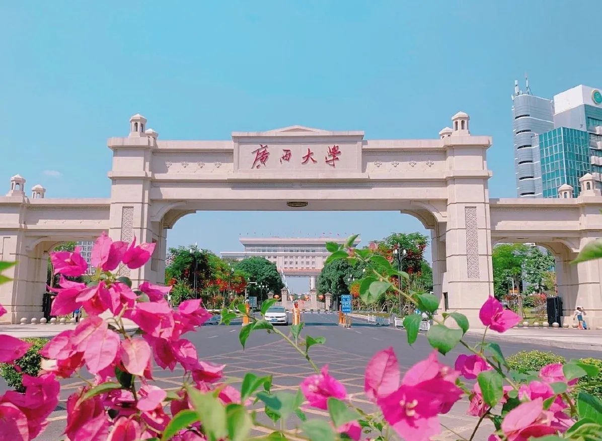广西大学.webp.jpg